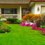 Complete Guide to Eco-Friendly Paving Options in Ottawa