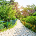 Unique Coffee Table Designs to Elevate Your Decor